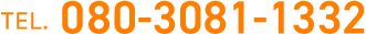 080-3081-1332